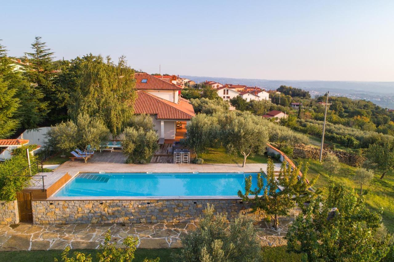 Villa Emi Zgornje Skofije Exteriér fotografie