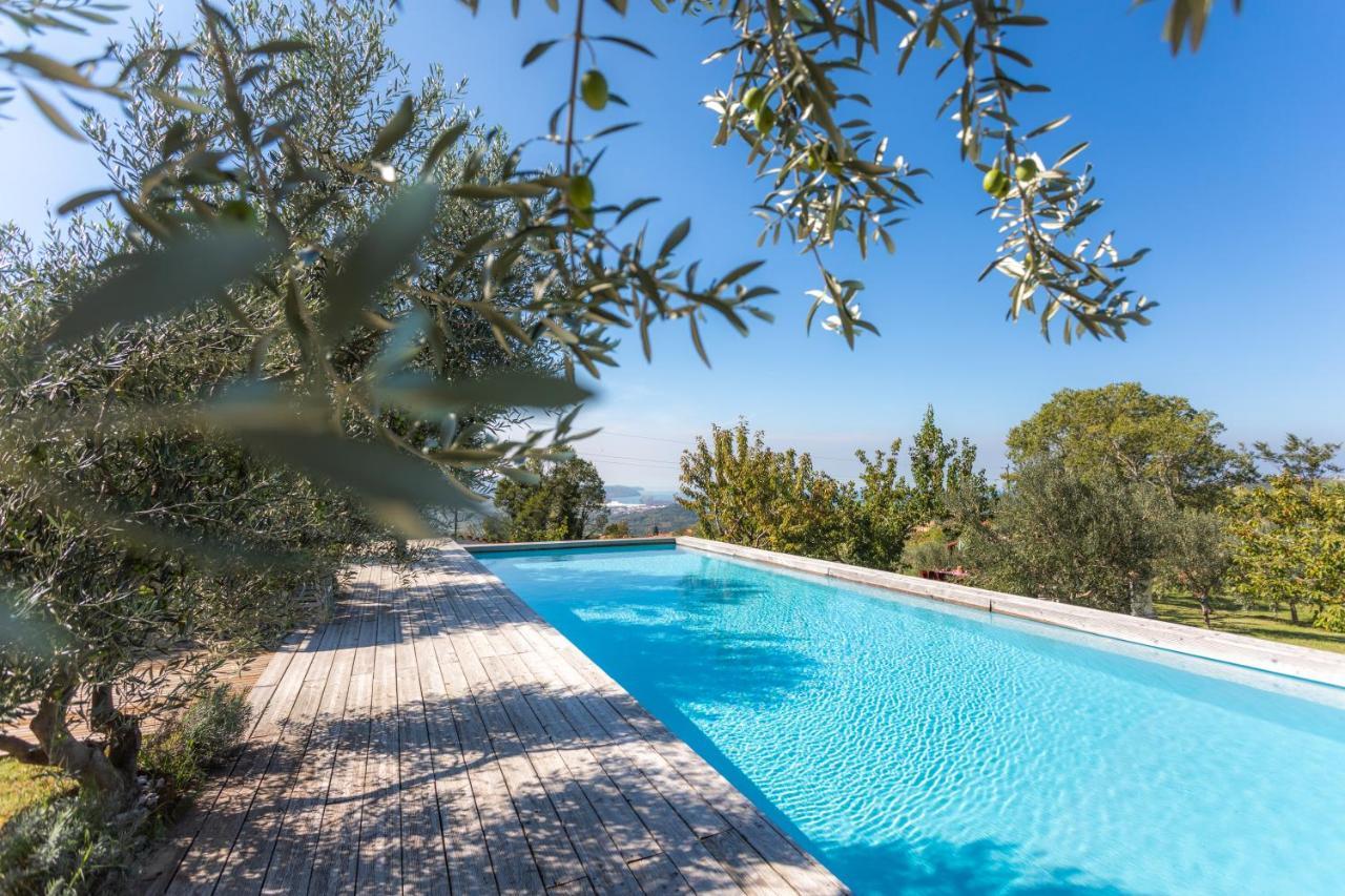 Villa Emi Zgornje Skofije Exteriér fotografie