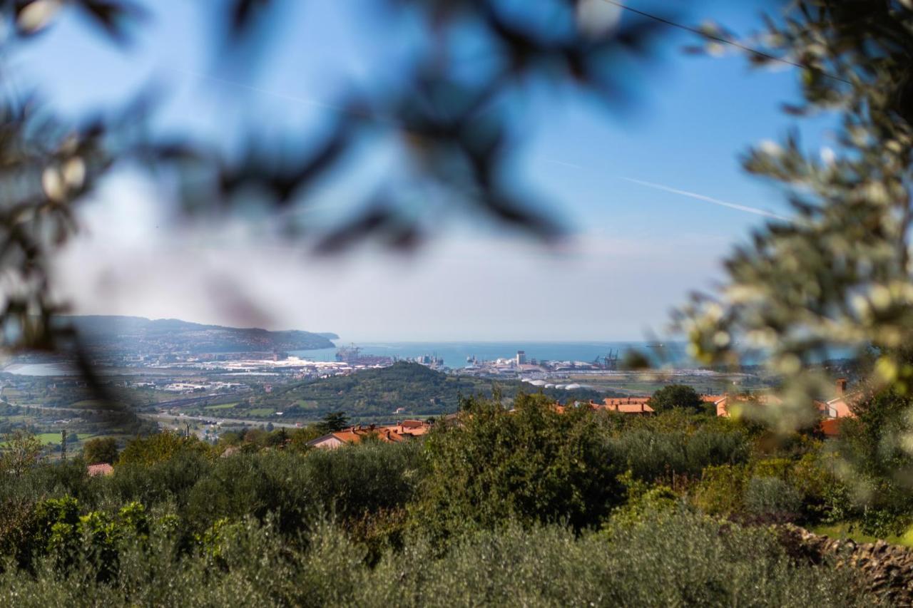 Villa Emi Zgornje Skofije Exteriér fotografie