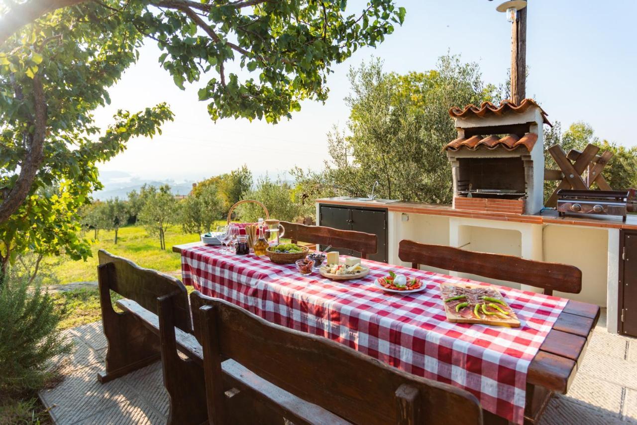 Villa Emi Zgornje Skofije Exteriér fotografie